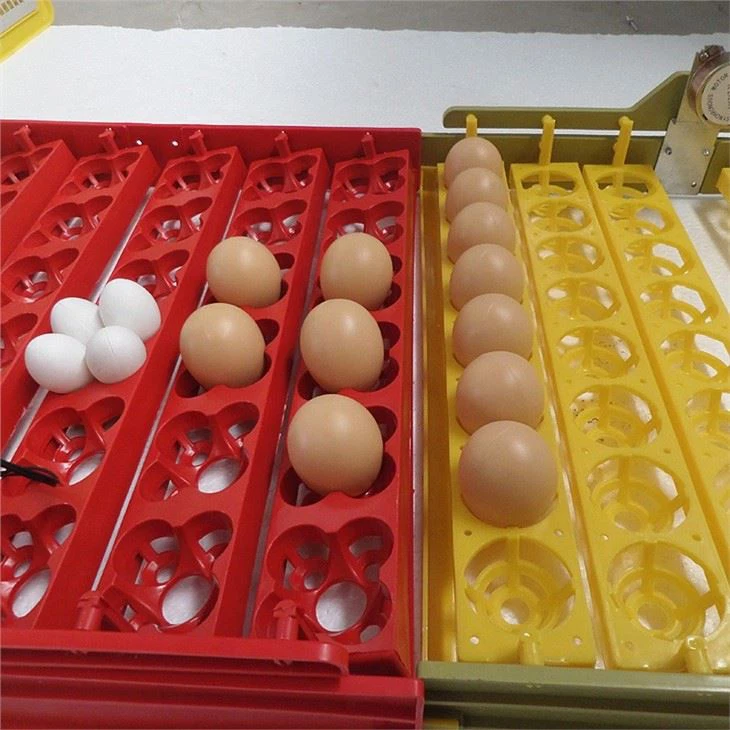 Automatic Incubator