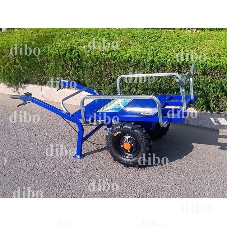 Electric Handcart Trolley best